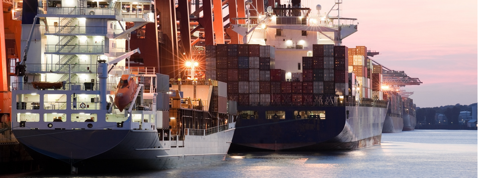 Logistique : MSC Maroc rejoint Portnetpay